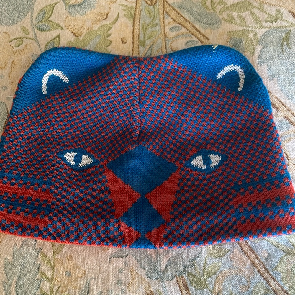Patagonia Beanie